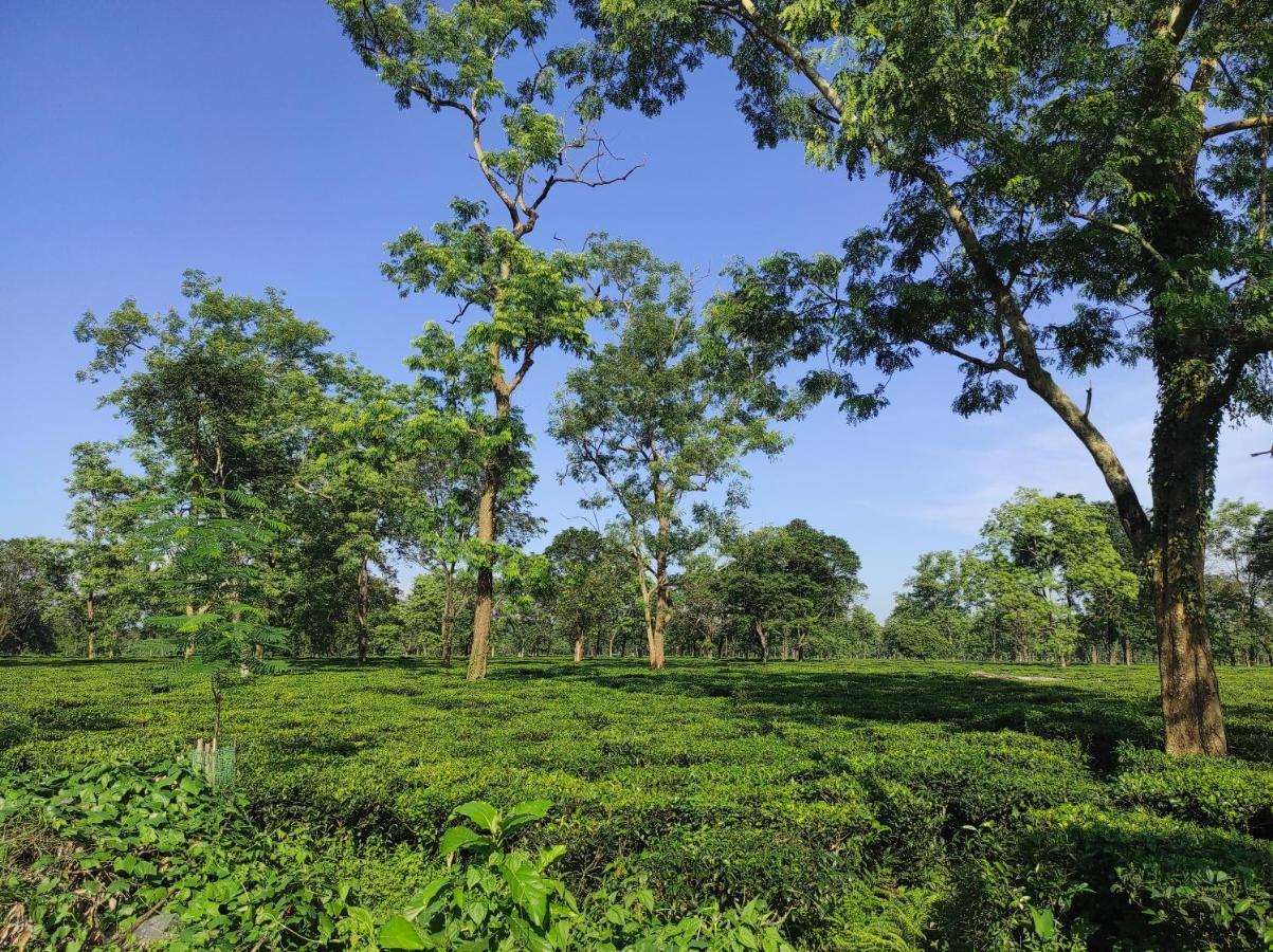 Manas Green Home Stay Jyoti Gaon Exteriér fotografie
